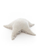 The Starfish