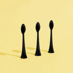 Brush Heads (X3) - Black