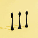 Têtes De Brosse (X3) - Noires
