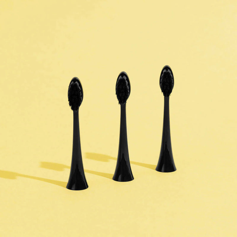 Têtes De Brosse (X3) - Noires
