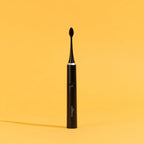 Black Brush + Case + Support
