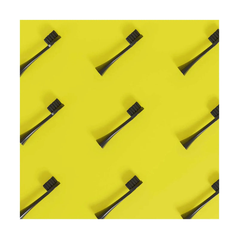 Têtes De Brosse (X3) - Noires