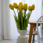 Botte De 5 Tulipes Jaunes