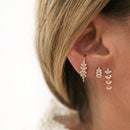 Boucle Laurus