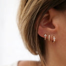 Boucle Ginkgo