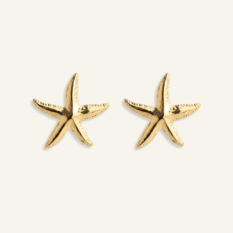 Boucles d'oreilles acier inoxydable femme été étoile de mer 