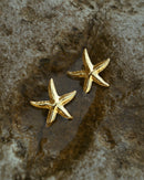 Boucles d'oreilles acier inoxydable femme été étoile de mer 