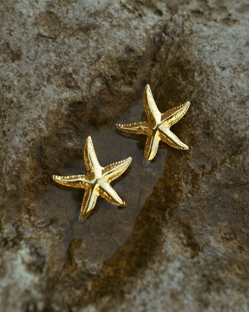 Boucles d'oreilles acier inoxydable femme été étoile de mer 