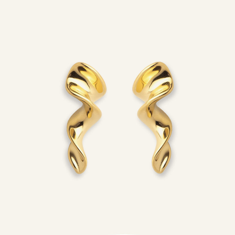 Boucles d'oreilles acier inoxydable torsadées 