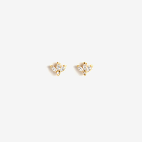 Boucle Dahlia