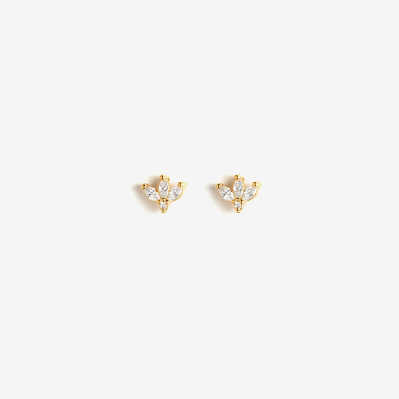 Boucle Dahlia