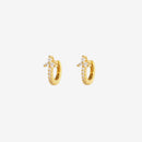 Boucle Ginkgo