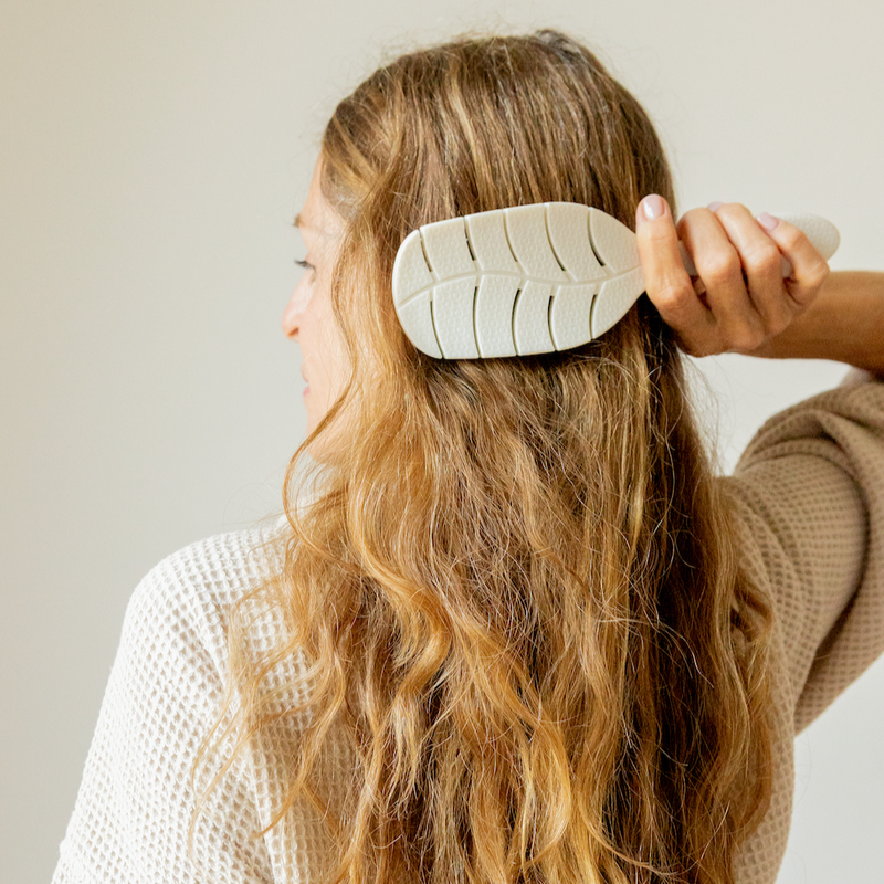 La Brosse Démêlante