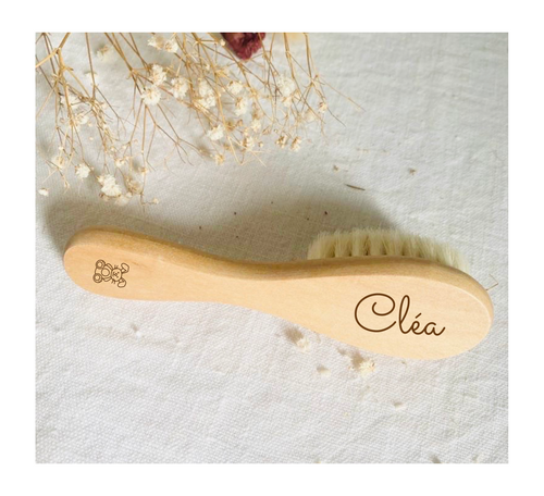 Manual La Brosse À Poils