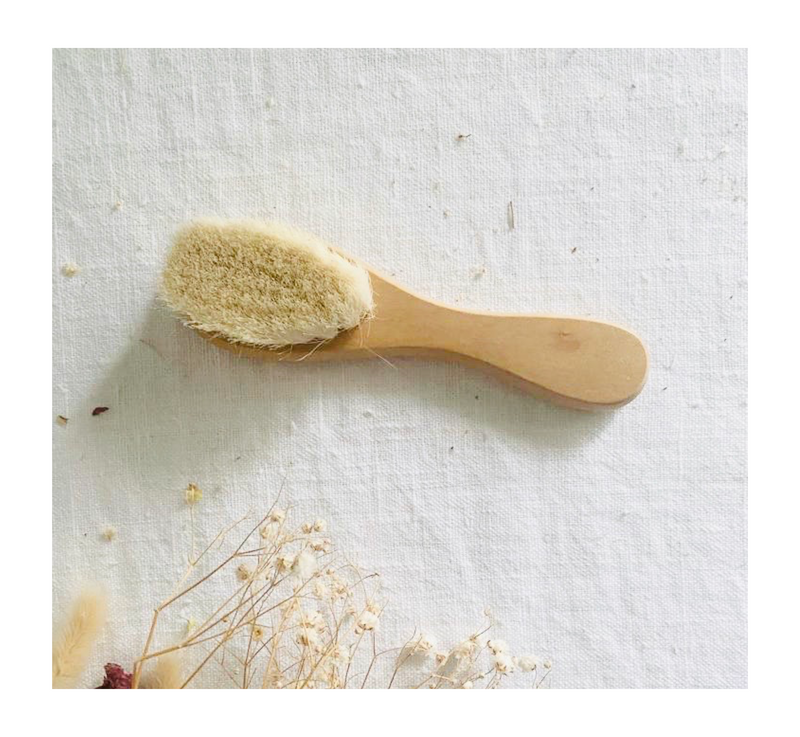 Manual del cepillo de cerdas