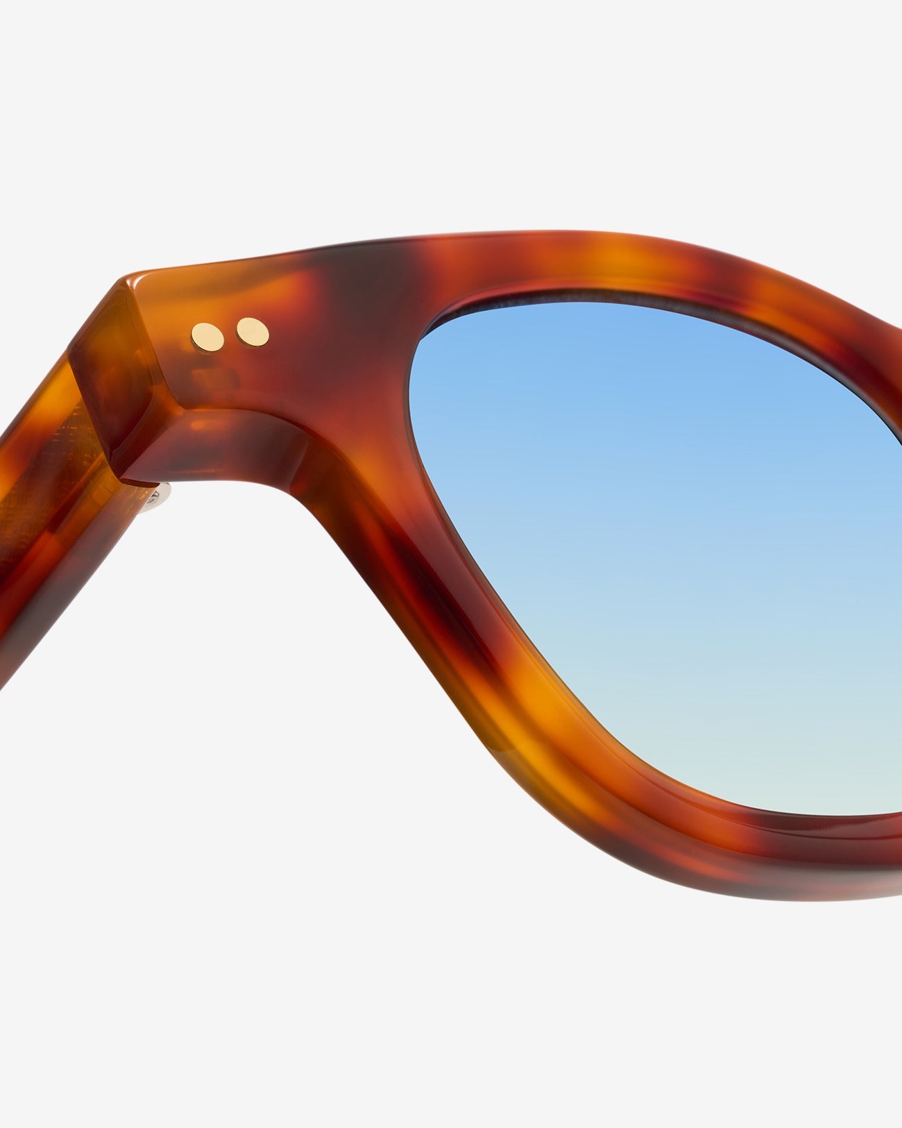 Primer plano de la montura cuadrada de acetato de las gafas de sol Bruce Ecaille