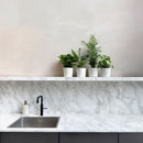 Conjunto de 4 plantas económicas.