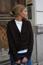Stanislas Chocolate Vest