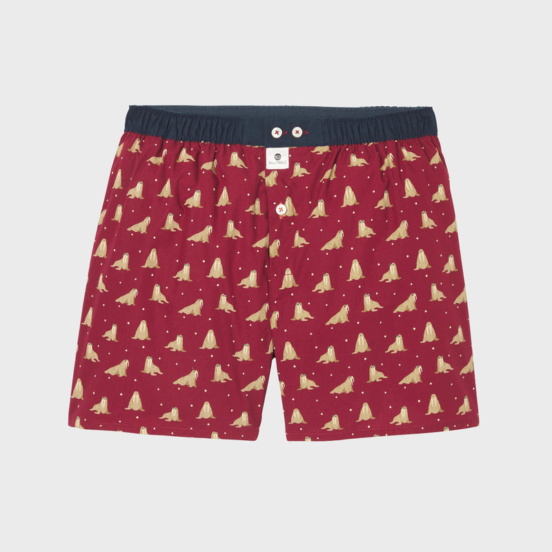 Boxer Shorts In 100% Organic Cotton - Walrus