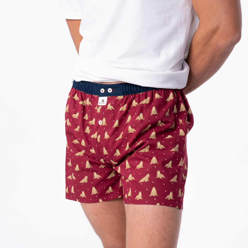 Boxer Shorts In 100% Organic Cotton - Walrus