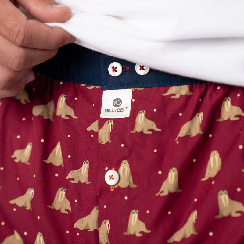 Boxer Shorts In 100% Organic Cotton - Walrus