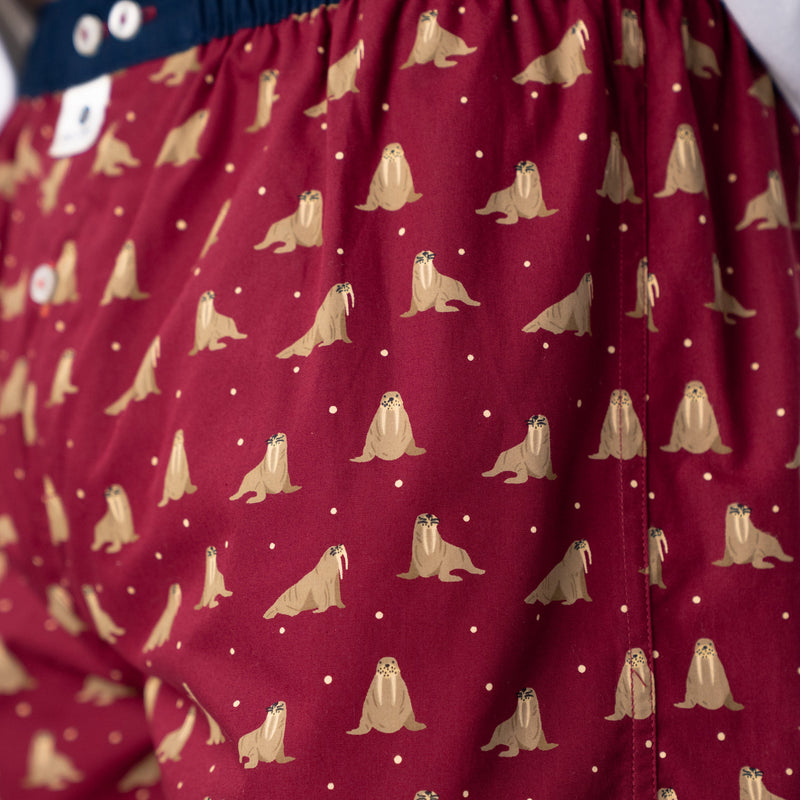 Boxer Shorts In 100% Organic Cotton - Walrus