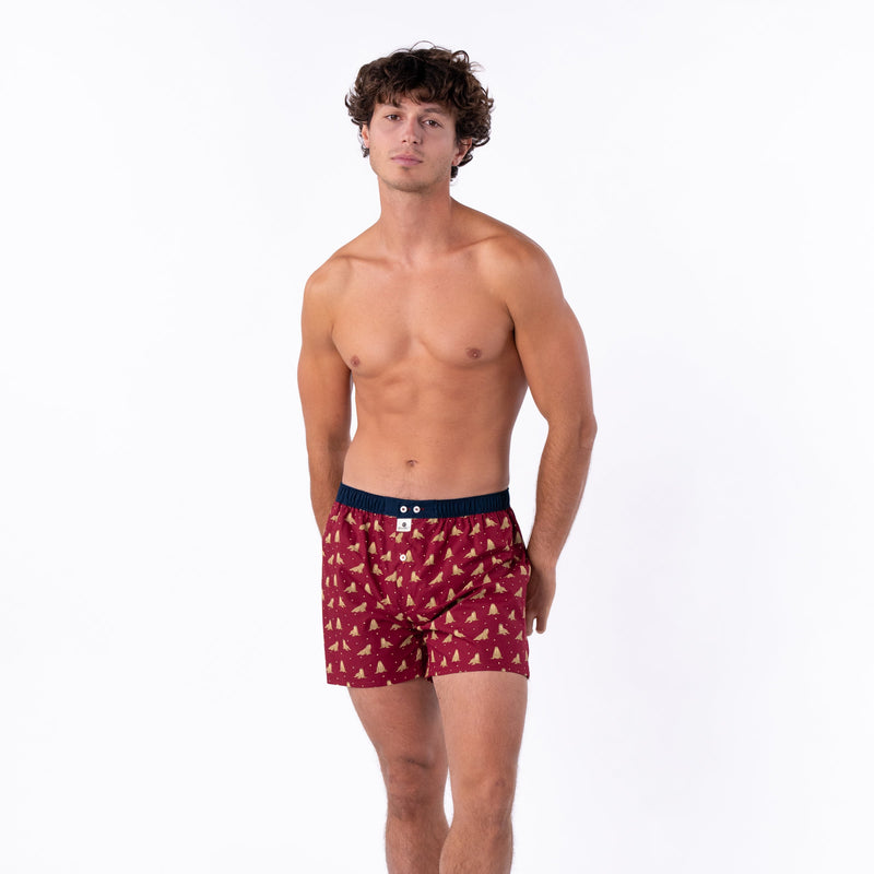 Boxer Shorts In 100% Organic Cotton - Walrus