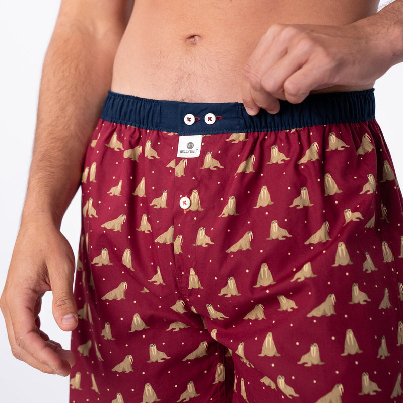 Boxer Shorts In 100% Organic Cotton - Walrus