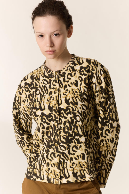 Cardigan Souci Cat