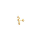Cassiope Gold Piercing
