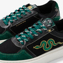 Caval X Harry Potter-Slytherin