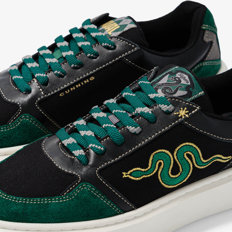 Caval X Harry Potter-Slytherin