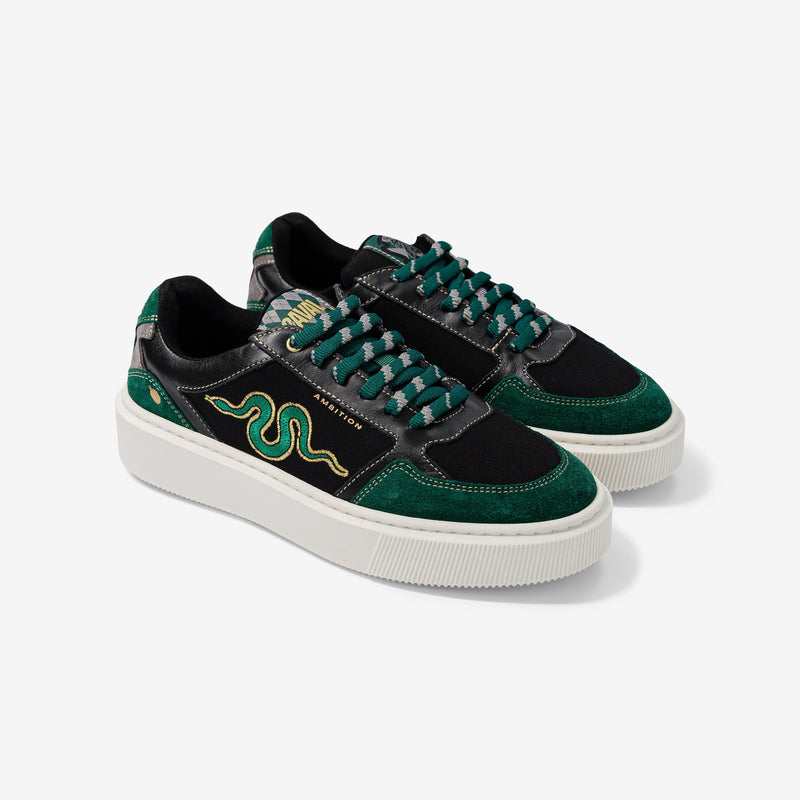 Caval X Harry Potter-Slytherin