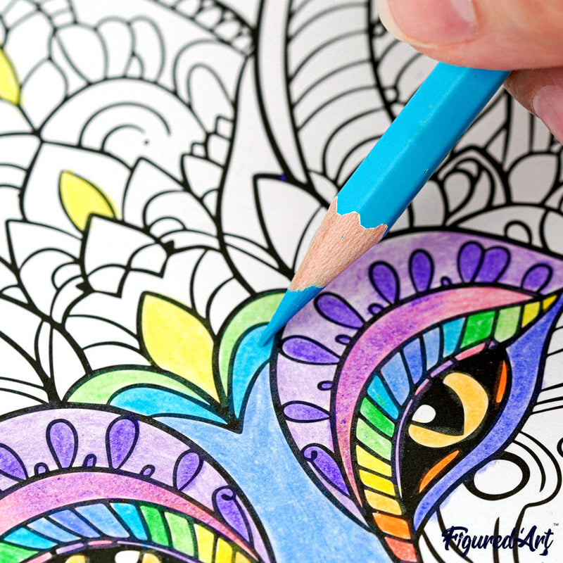 Livre De Coloriage Adulte - L'Univers Des Animaux - 50 Pages