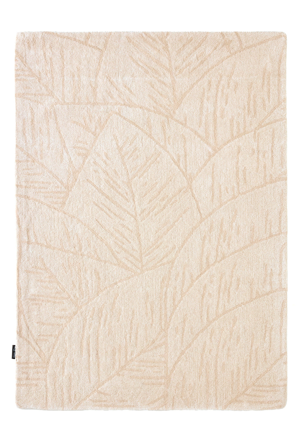Cedro Blanco - Alfombra De Lana Follaje - Cedro Blanco Crema