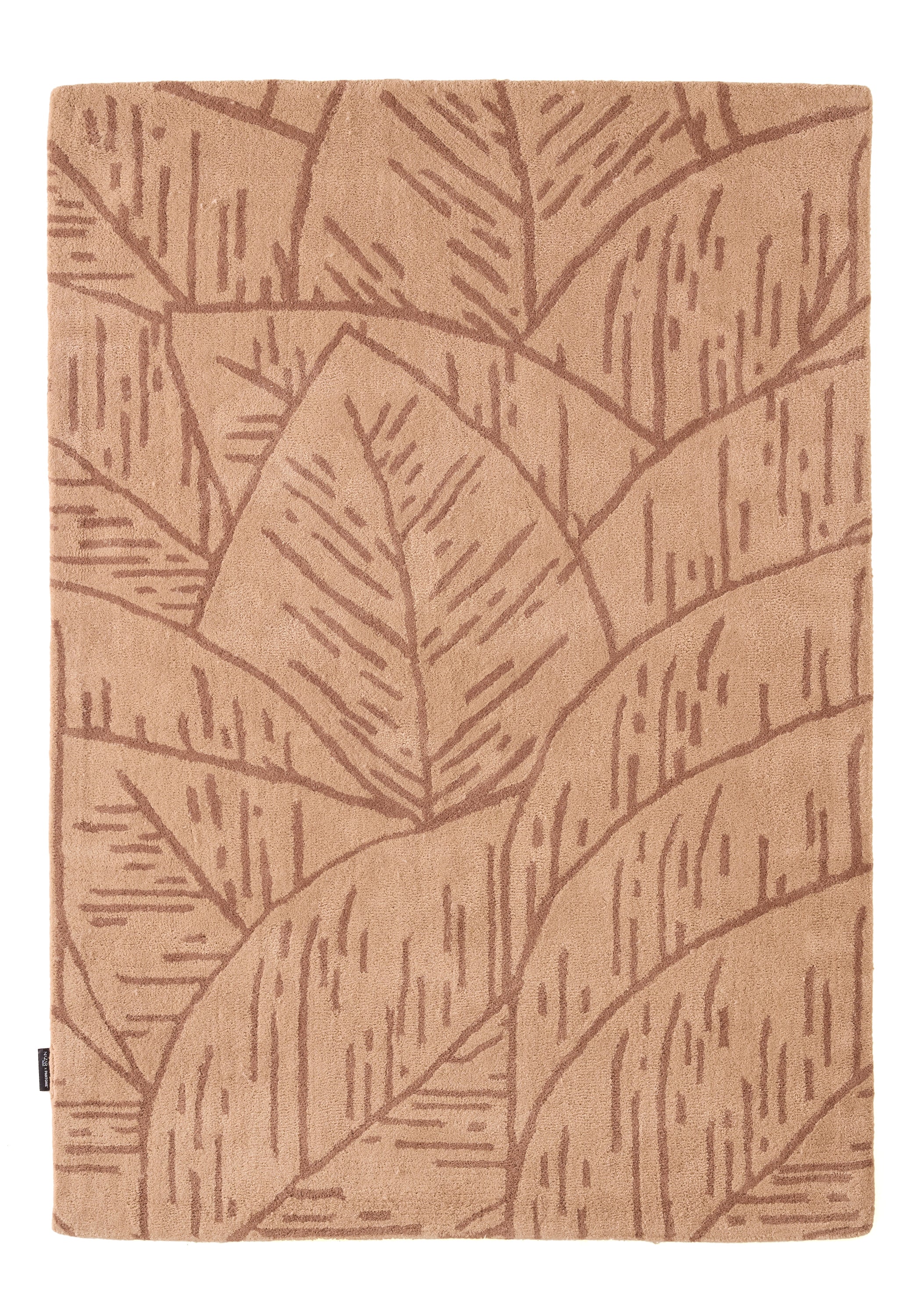 White cedar – Foliage wool rug - brown White cedar