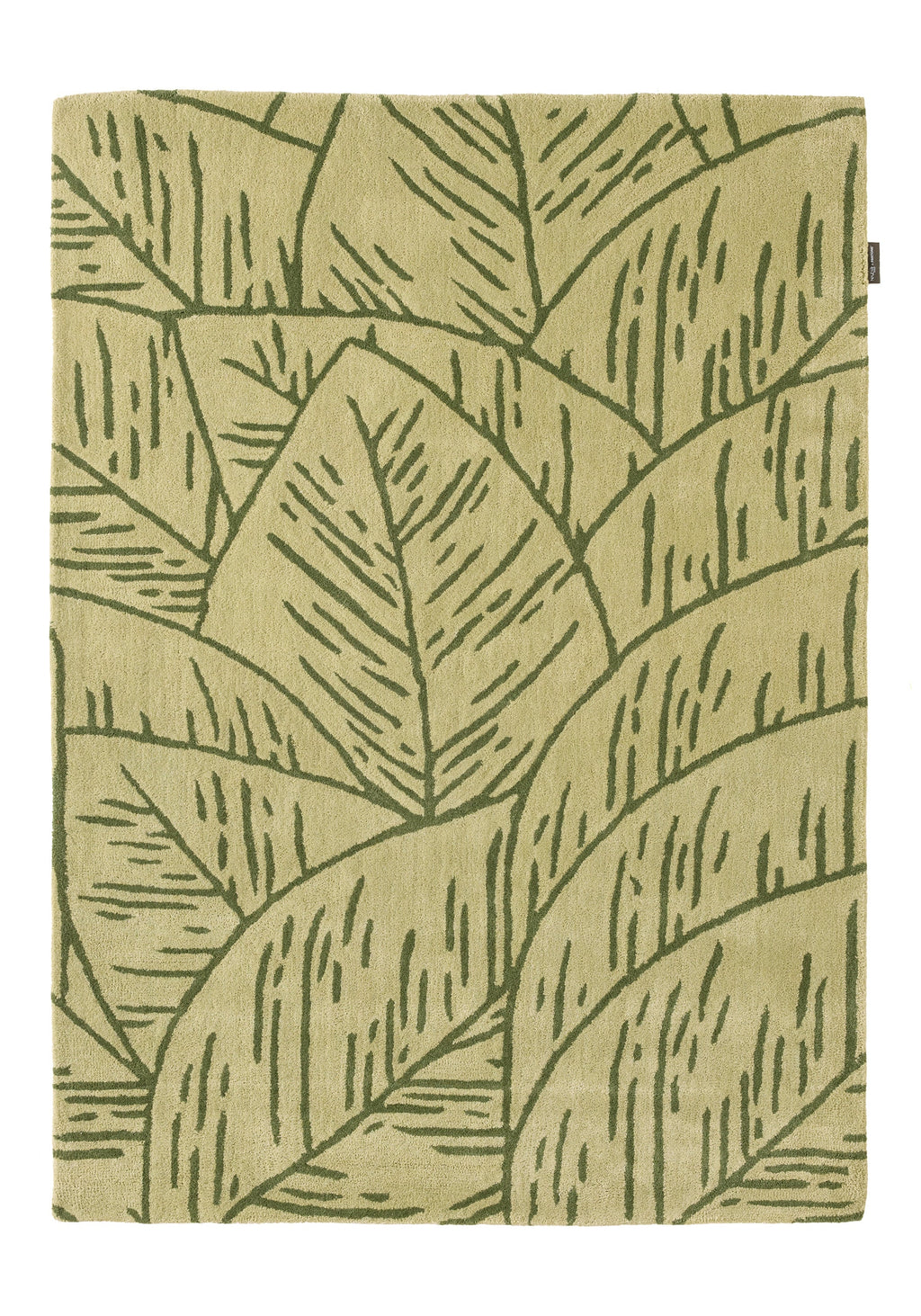 Cedro blanco – Alfombra de lana con motivos de follaje - verde Cedro blanco