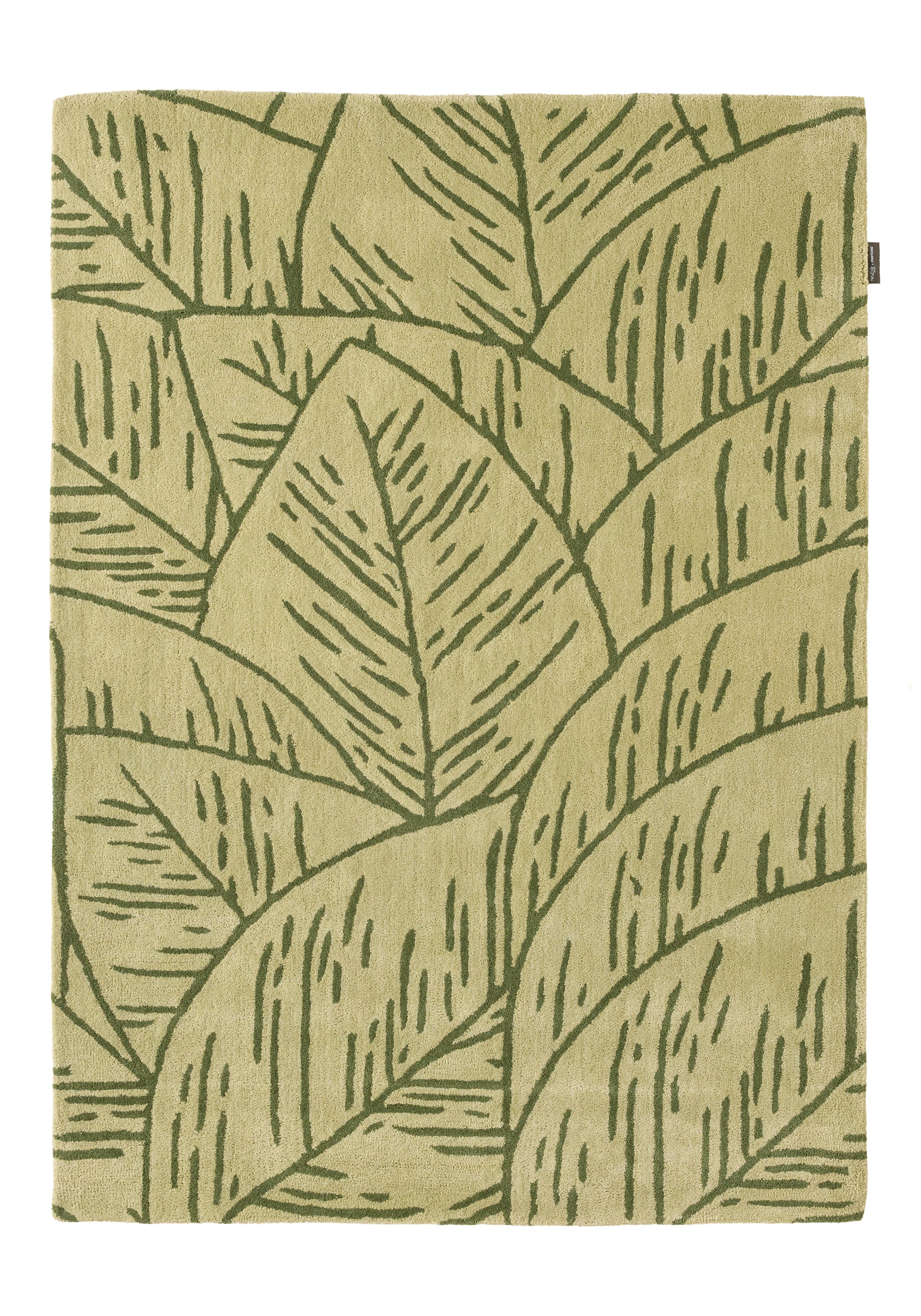 Cedro blanco – Alfombra de lana con motivos de follaje - verde Cedro blanco