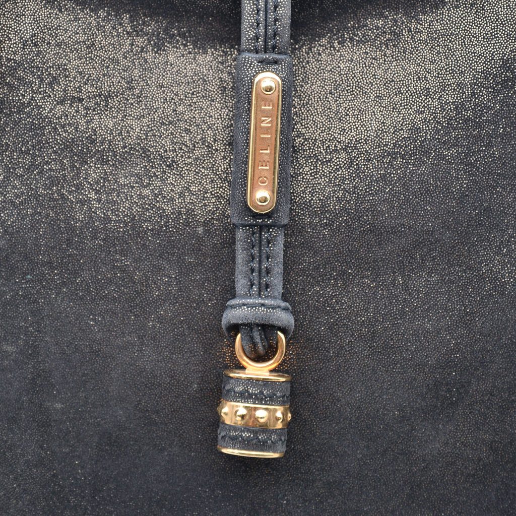 Céline Vintage Triomphe Logo Iridescent Faux Suede Bag