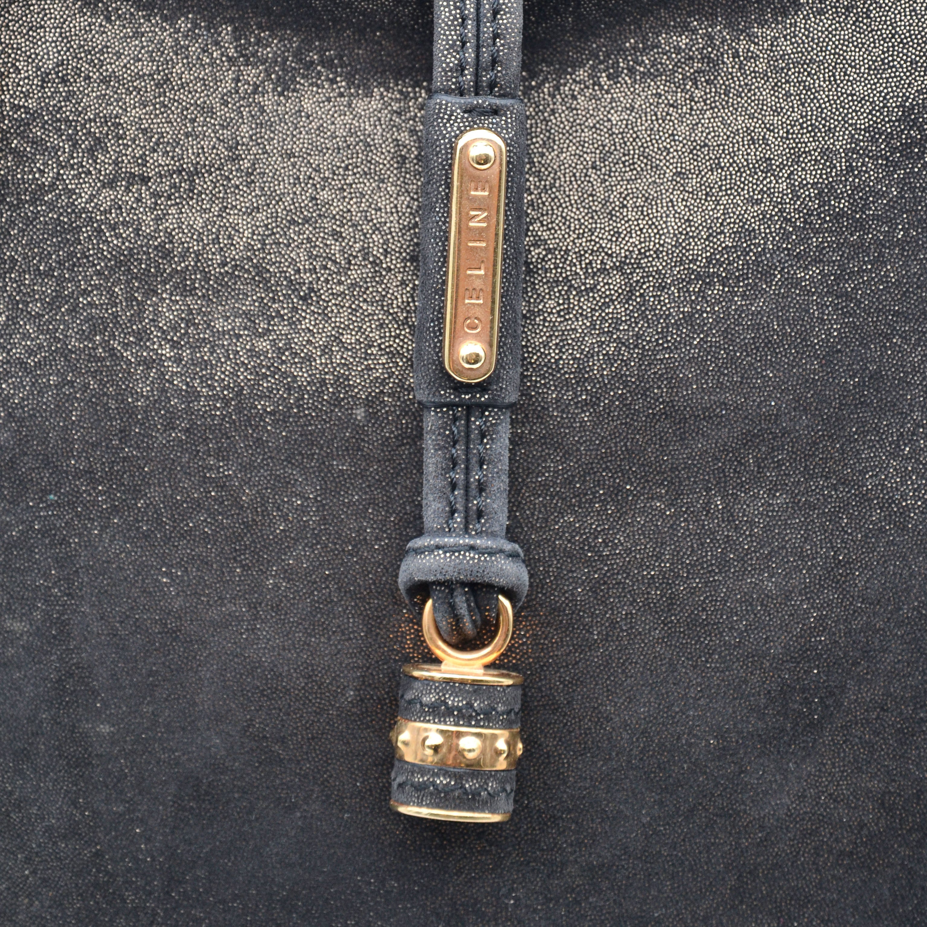 Céline Vintage Triomphe Logo Iridescent Faux Suede Bag