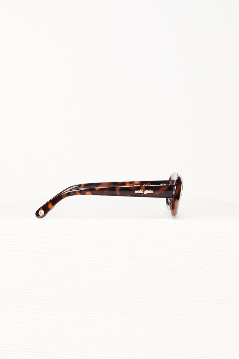 Gafas de sol - Terra Gafas de sol - Tortuga