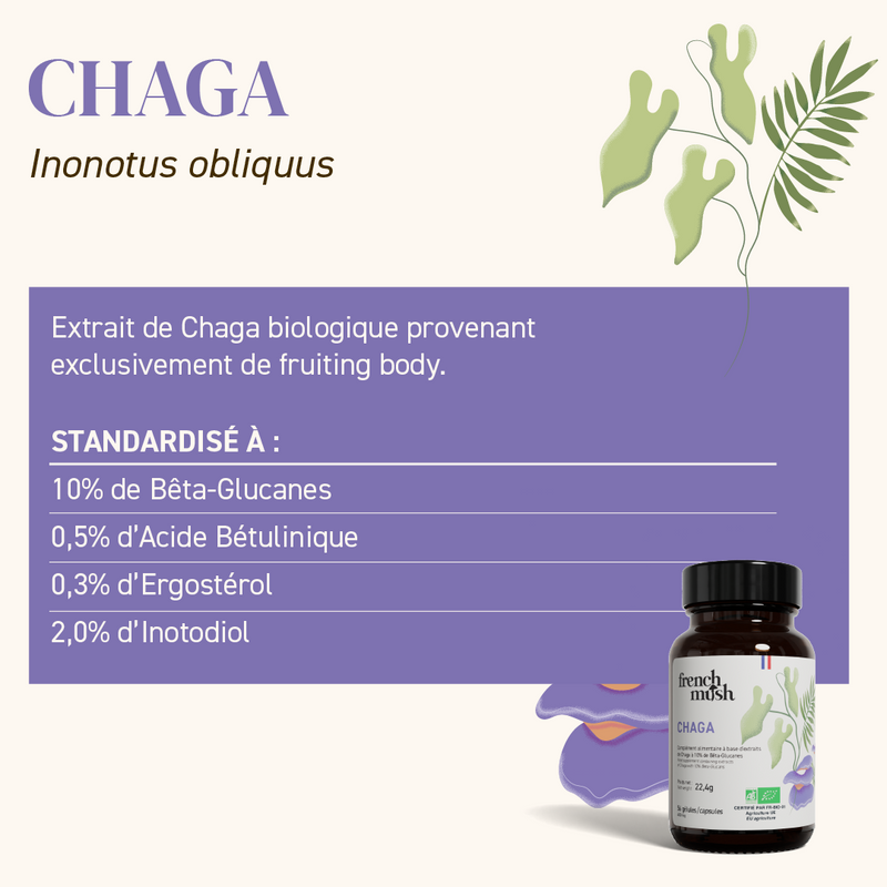 Compléments Alimentaires Chaga - Cure En Gélules