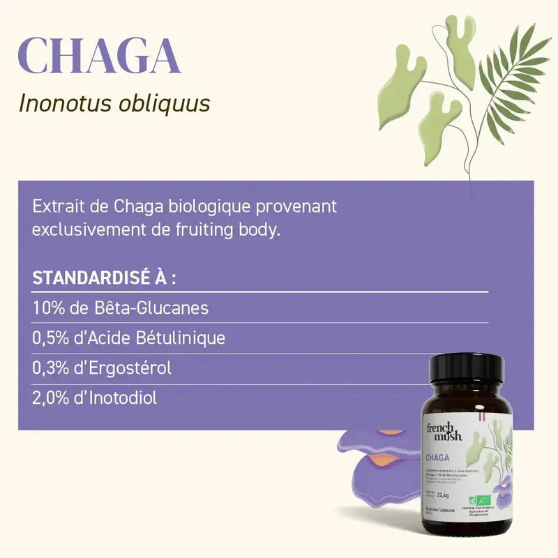 French Mush compléments alimentaires à base d'extraits de champignons médicinaux biologiques fabriqués en France Pack équilibre hormonal gélules Bio - gélules -