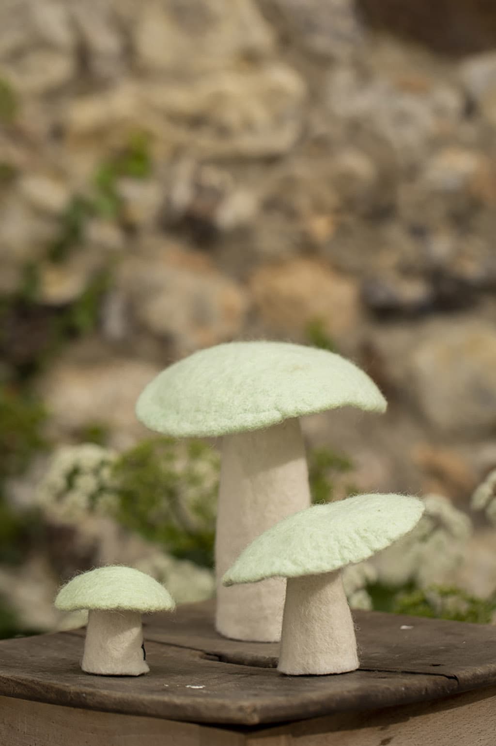 Champignons - Menthe