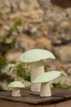 Champignons - Menthe