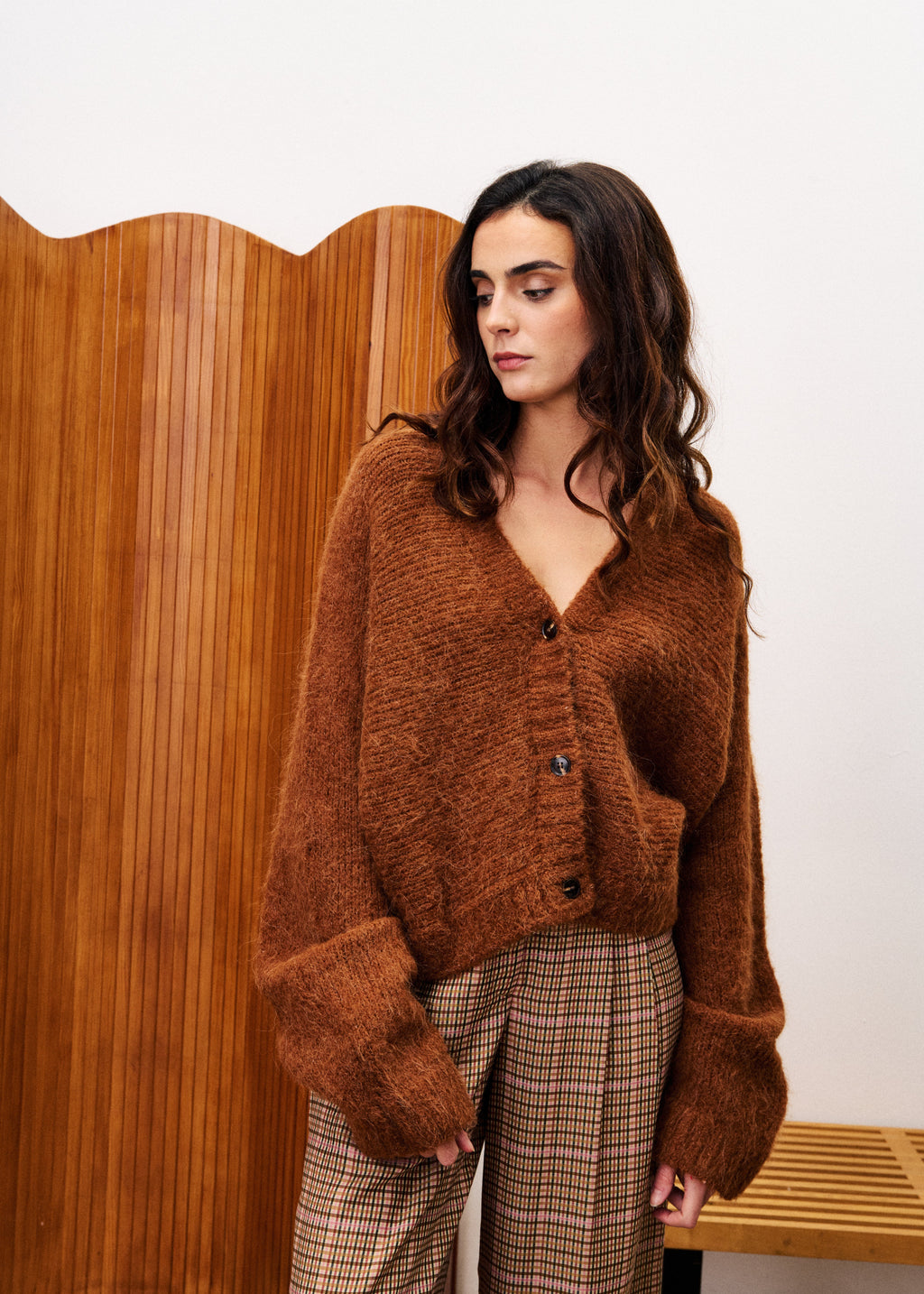 Cardigan Bichon - Marron Glace