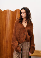 Cardigan Bichon - Marron Glace