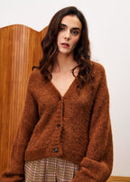 Cardigan Bichon - Marron Glace