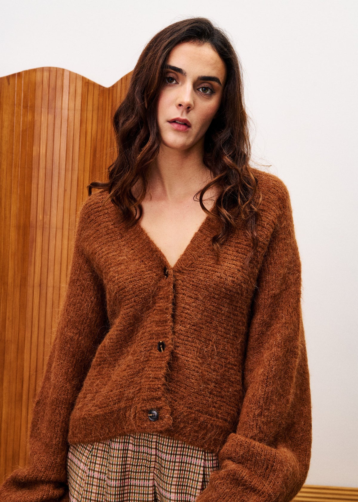 Cardigan Bichon - Marron Glace