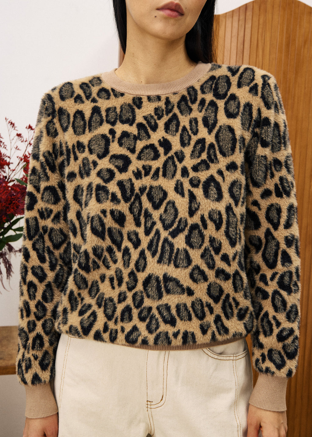 Pull Canna - Leopard